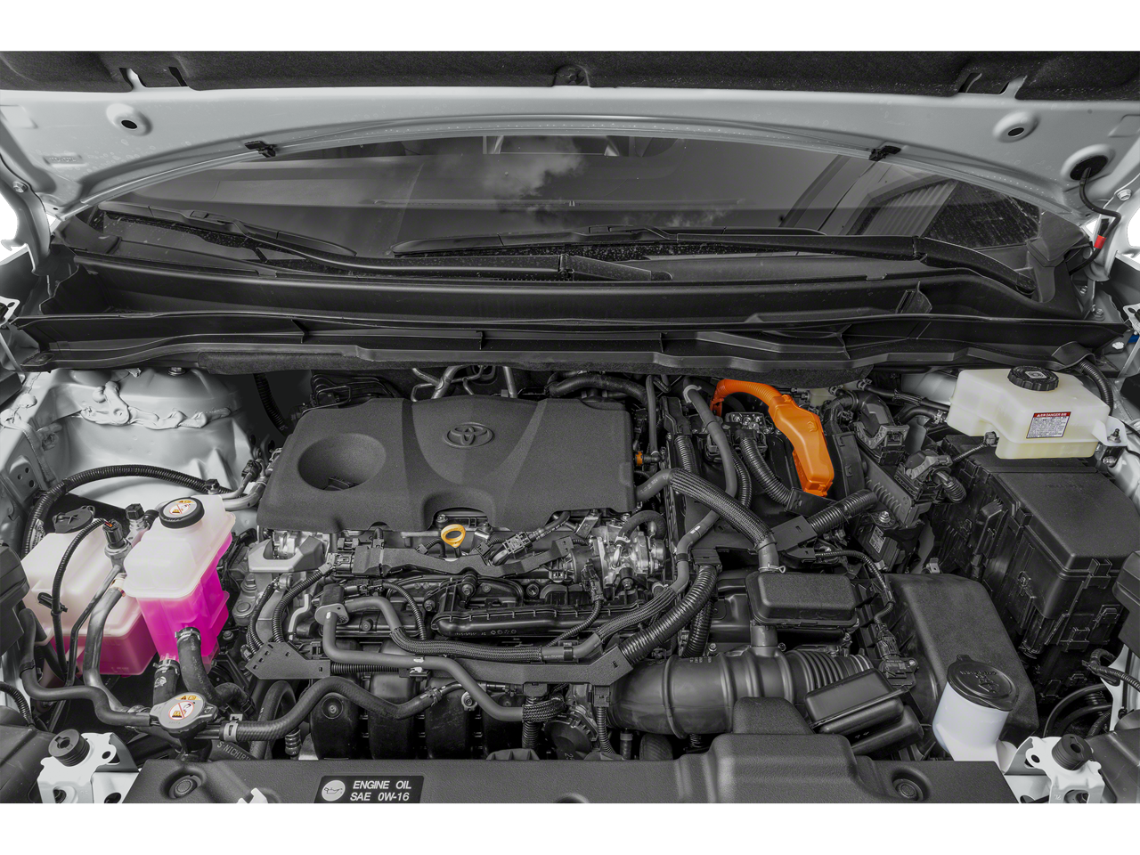 2025 Toyota Sienna Woodland Edition All Wheel Drive CVT