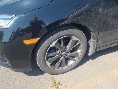 2024 Honda Odyssey Elite