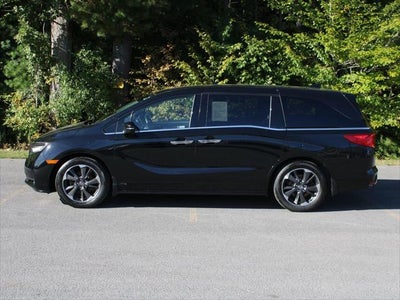 2024 Honda Odyssey Elite