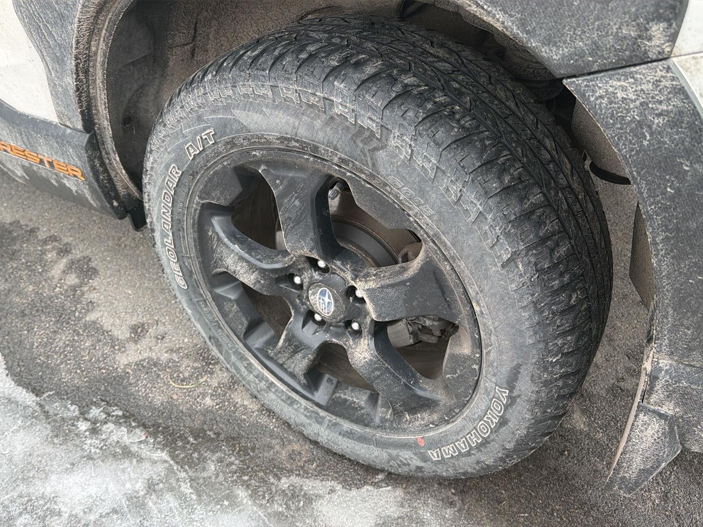 2023 Subaru Forester Wilderness