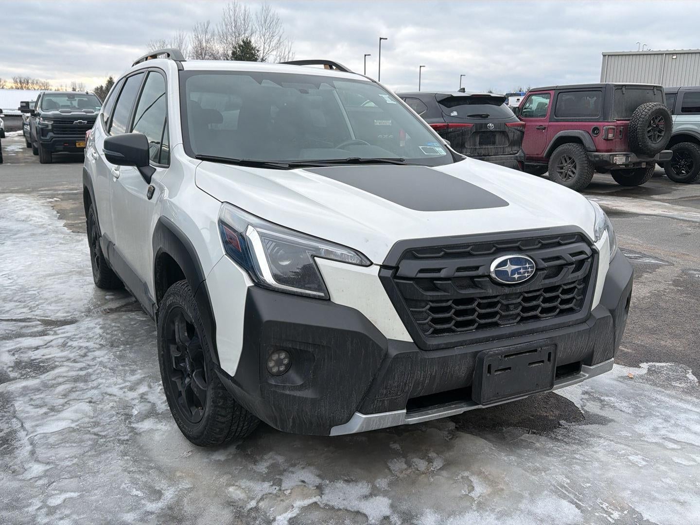 2023 Subaru Forester Wilderness