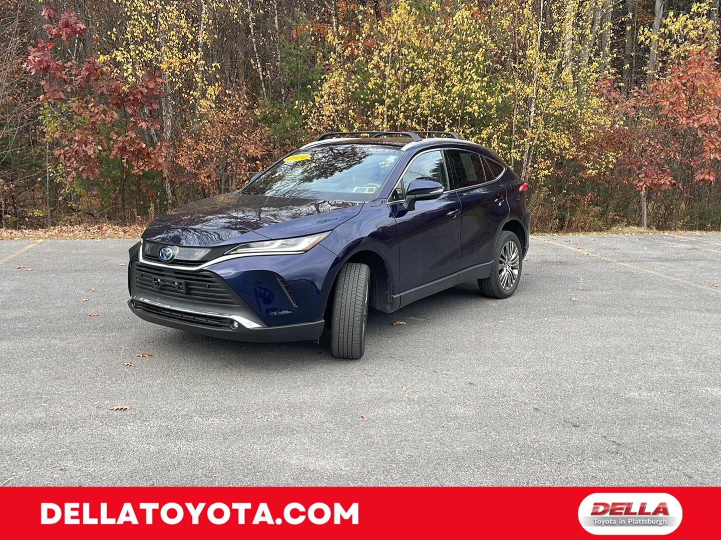2024 Toyota Venza XLE