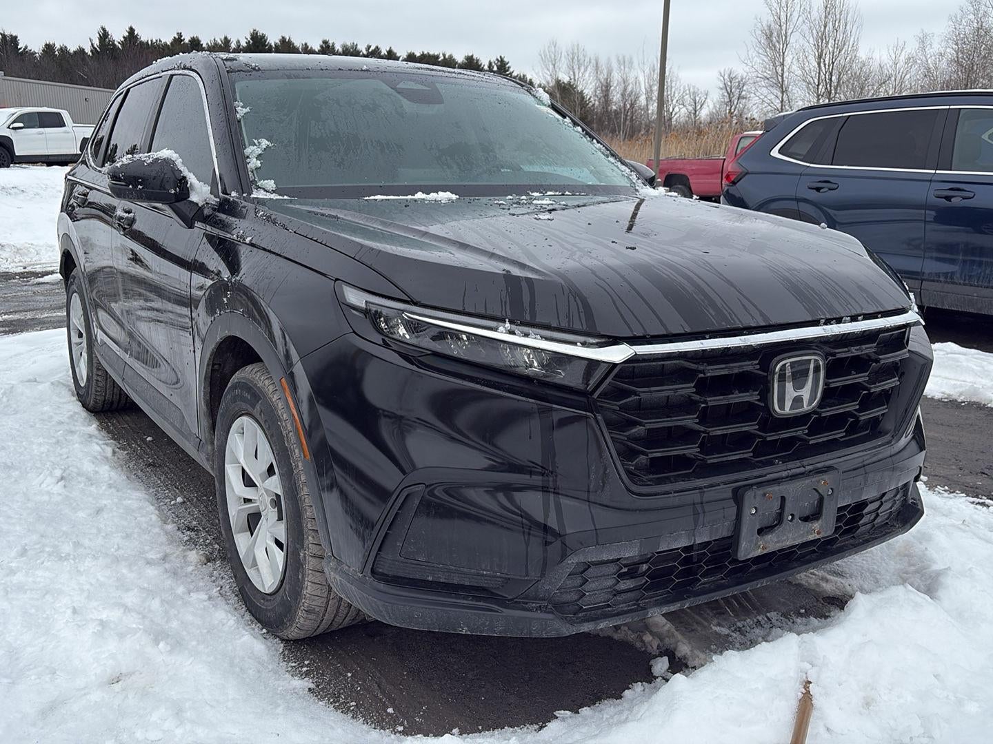 2023 Honda CR-V LX All Wheel Drive CVT