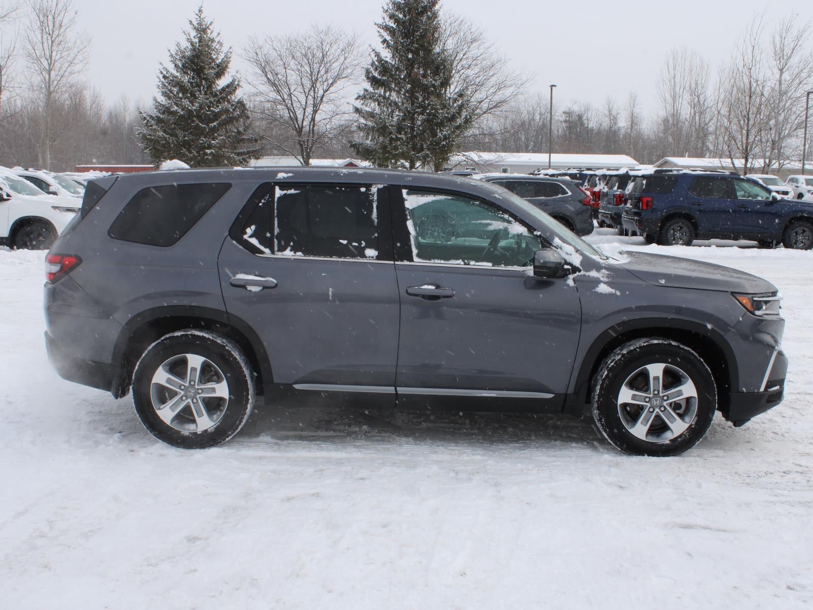 2025 Honda Pilot EX-L All Wheel Drive Automatic