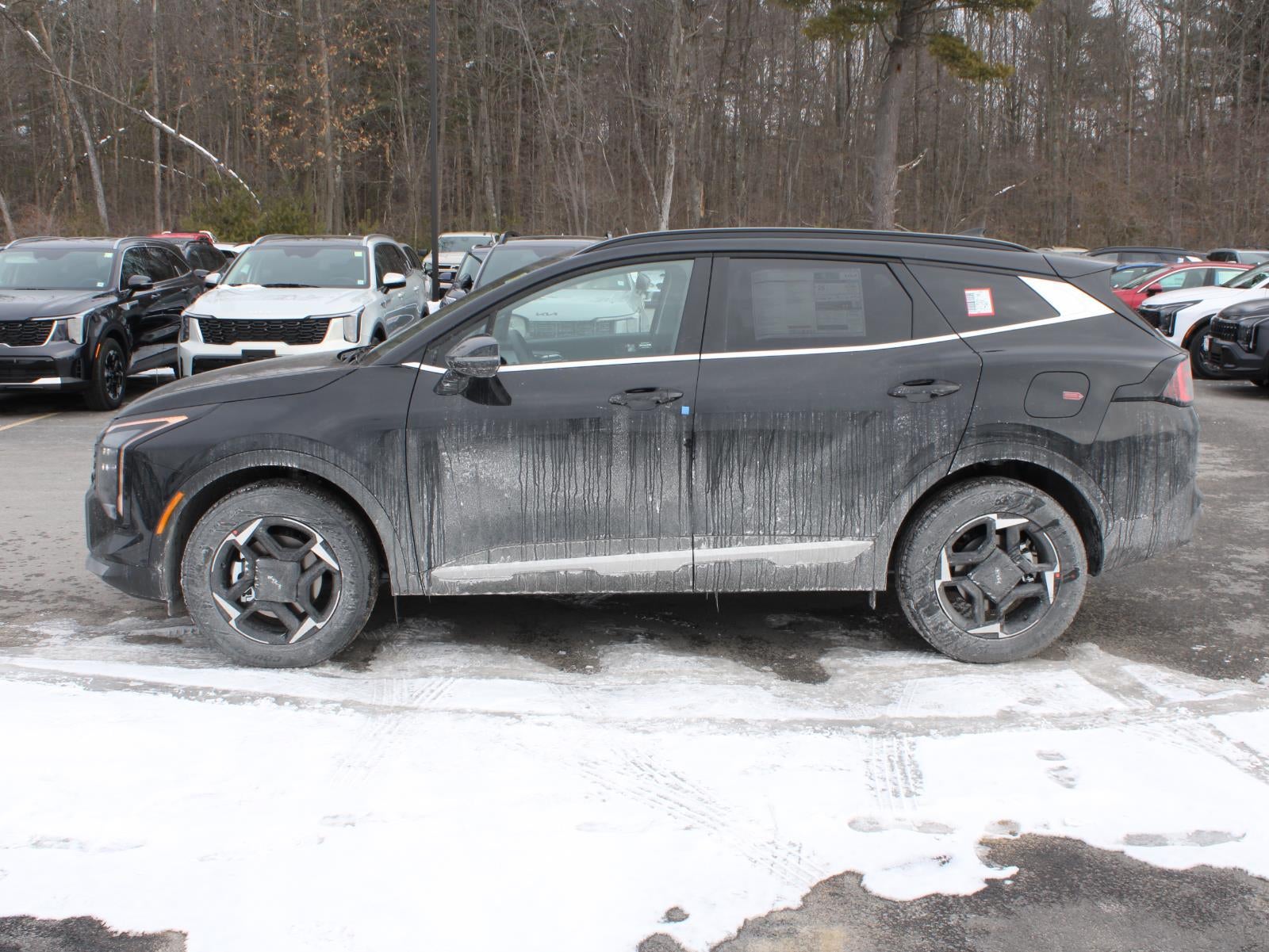 2026 Kia Sportage EX